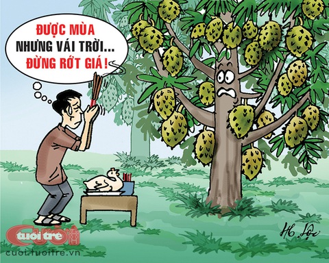 Nông dân vái thần sầu riêng - Ảnh 1. Nông dân vái thần sầu riêng - Ảnh 1.