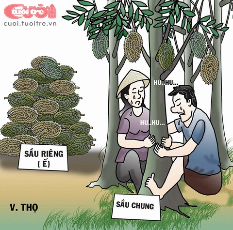 Nông dân vái thần sầu riêng - Ảnh 2. Nông dân vái thần sầu riêng - Ảnh 2.