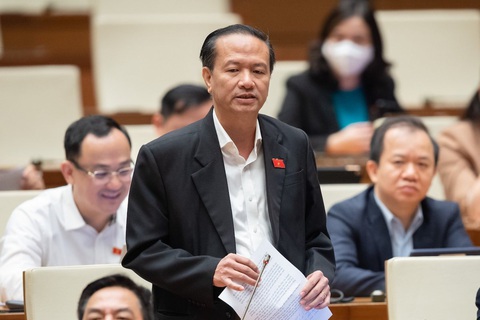 Sửa Luật đất đai: Có tạo thời cơ vàng cho đại bàng và chim sẻ về làm tổ? - Ảnh 1. Sửa Luật đất đai: Có tạo thời cơ vàng cho đại bàng và chim sẻ về làm tổ? - Ảnh 1.