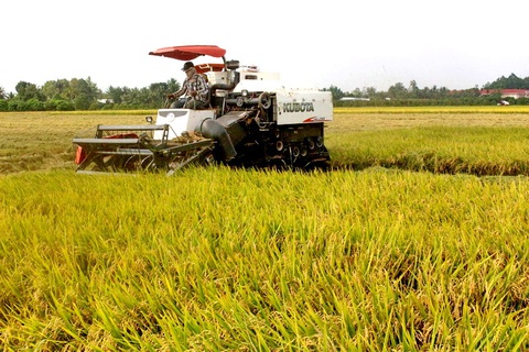 Bộ trưởng Lê Minh Hoan: ‘Hợp tác xã không chỉ là phân chia lợi ích' - Ảnh 1. Hợp tác xã Khiết Tâm (TP Cần Thơ) thực hiện dịch vụ thu hoạch lúa - Ảnh: V.T.