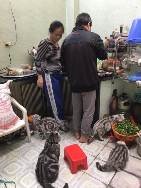 Ảnh vui 8-4: Kính chiếu hậu chạy bằng pin - Ảnh 4. Ảnh vui 8-4: Kính chiếu hậu chạy bằng pin - Ảnh 4.