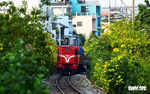 Mơ 3.100km đường tàu thành đường hoa dài nhất Việt Nam - Ảnh 3. Mơ 3.100km đường tàu thành đường hoa dài nhất Việt Nam - Ảnh 3.