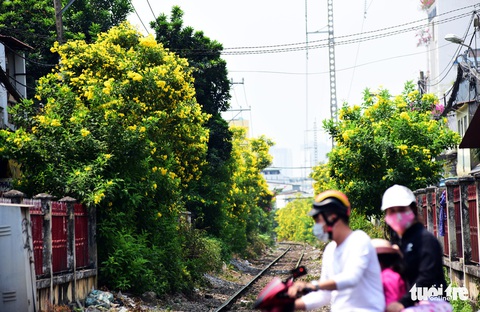 Biến đường sắt thành đường hoa dài nhất Việt Nam - Ảnh 5. Biến đường sắt thành đường hoa dài nhất Việt Nam - Ảnh 5.