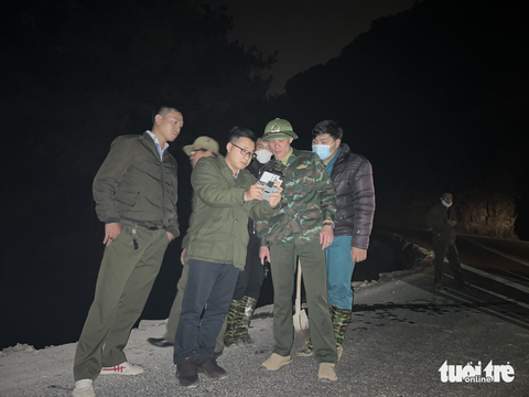 Rừng phòng hộ đèo Prenn Đà Lạt vẫn cháy - Ảnh 2. Rừng phòng hộ đèo Prenn Đà Lạt vẫn cháy - Ảnh 2.