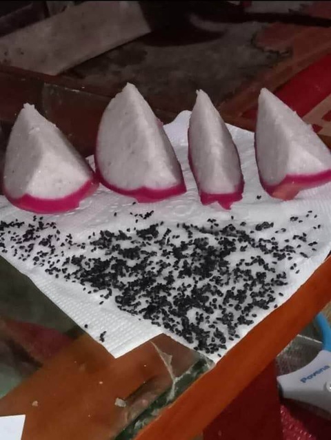 Ảnh vui 10-5: Chú chuột chắp tay cầu nguyện chích không đau - Ảnh 4. Ảnh vui 10-5: Chú chuột chắp tay cầu nguyện chích không đau - Ảnh 4.