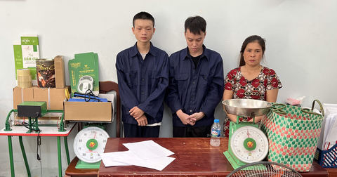 Khởi tố 3 nghi phạm đường dây trồng, tiêu thụ cần sa quy mô lớn - Ảnh 1. Khởi tố 3 nghi phạm đường dây trồng, tiêu thụ cần sa quy mô lớn - Ảnh 1.