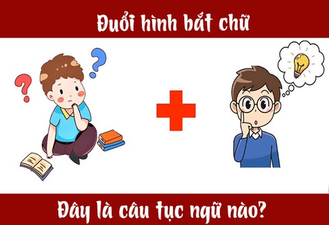 Câu tục ngữ, thành ngữ khó nhằn này là gì? (P9) - Ảnh 4. Câu tục ngữ, thành ngữ khó nhằn này là gì? (P9) - Ảnh 4.