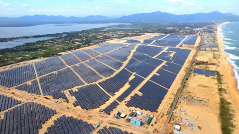 Hiện còn 114/330MW của dự án điện mặt trời Phù Mỹ đã hoàn thành song chưa được EVN mua điện - Ảnh: Y.T Hiện còn 114/330MW của dự án điện mặt trời Phù Mỹ đã hoàn thành song chưa được EVN mua điện - Ảnh: Y.T
