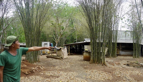 Chính quyền thua ở tòa, bị buộc phải làm sổ đỏ cho dân - Ảnh 1. Chính quyền thua ở tòa, bị buộc phải làm sổ đỏ cho dân - Ảnh 1.