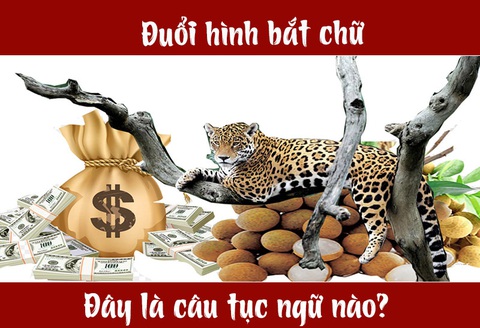 Câu tục ngữ, thành ngữ khó nhằn này là gì? (P9) - Ảnh 1. Câu tục ngữ, thành ngữ khó nhằn này là gì? (P9) - Ảnh 1.