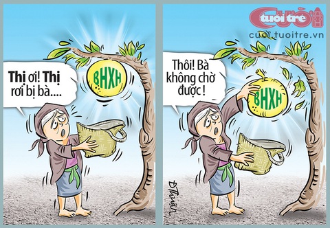 Quả thị... bảo hiểm xã hội - Ảnh 1. Quả thị... bảo hiểm xã hội - Ảnh 1.