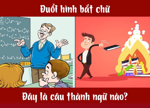 Người giỏi suy luận có đoán được câu tục ngữ này? - Ảnh 4. Người giỏi suy luận có đoán được câu tục ngữ này? - Ảnh 4.