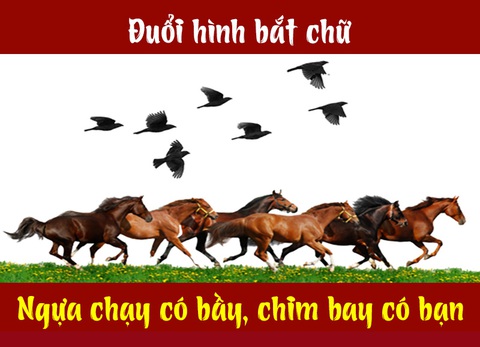 Câu tục ngữ, thành ngữ khó nhằn này là gì? (P11) - Ảnh 3. Câu tục ngữ, thành ngữ khó nhằn này là gì? (P11) - Ảnh 3.
