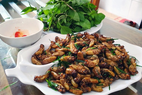 Ngộ độc, dị ứng vì thử đặc sản độc lạ từ ve sầu, nhộng, bọ xít... - Ảnh 1. Ve sầu là đặc sản dùng chế biến món ăn tại một số vùng miền - Ảnh: THU HIẾN
