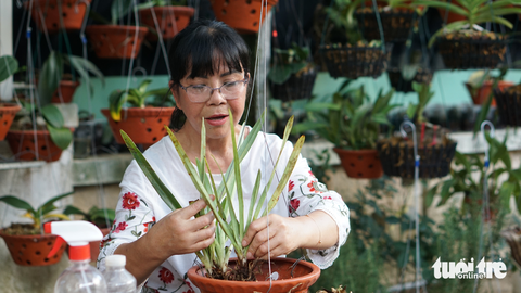 Trong lúc chờ xe đi ăn, Ánh Tuyết cũng tranh thủ trồng hoa - Ảnh: TRẦN MẶC Trong lúc chờ xe đi ăn, Ánh Tuyết cũng tranh thủ trồng hoa - Ảnh: TRẦN MẶC