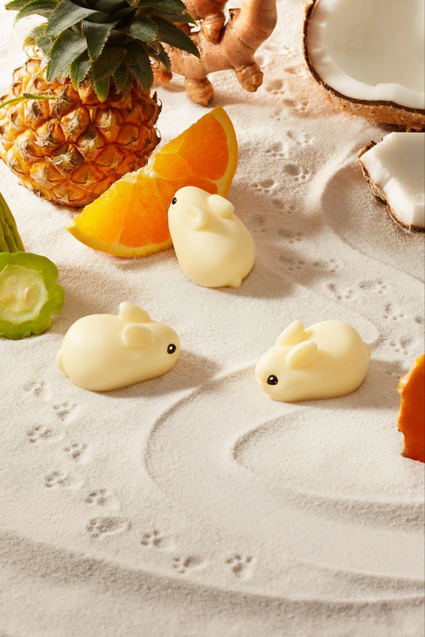 Freshity - Thỏ bảo rằng: ‘Hãy lắng nghe chúng tôi…’ - Ảnh 2. Freshity - Thỏ bảo rằng: ‘Hãy lắng nghe chúng tôi…’ - Ảnh 2.