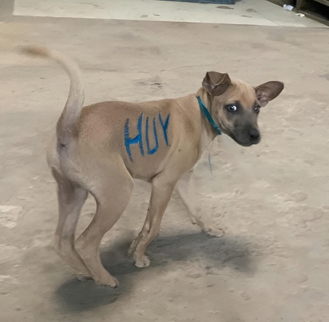Ảnh vui 16-5: Đây là tôi mỗi khi ngồi sau xe đứa bạn thân - Ảnh 3. Ảnh vui 16-5: Đây là tôi mỗi khi ngồi sau xe đứa bạn thân - Ảnh 3.