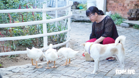 Ca sĩ Ánh Tuyết: Nhiều ca sĩ phô trương hình thức để lấp liếm khả năng - Ảnh 3. Ca sĩ Ánh Tuyết: Nhiều ca sĩ phô trương hình thức để lấp liếm khả năng - Ảnh 3.