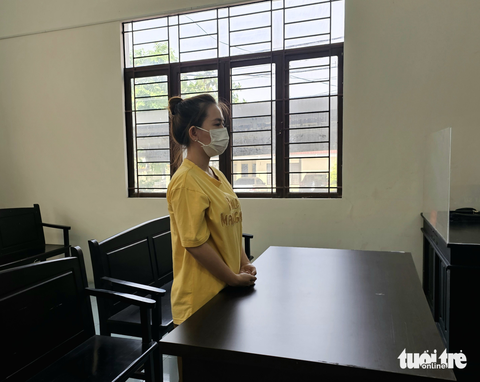 Bảo mẫu làm chết trẻ lãnh 2 năm 6 tháng tù - Ảnh 1. Bảo mẫu làm chết trẻ lãnh 2 năm 6 tháng tù - Ảnh 1.