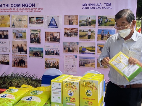 Giống lúa thơm ST25 được lưu hành tại các tỉnh Tây Nguyên - Ảnh 1. Giống lúa thơm ST25 được lưu hành tại các tỉnh Tây Nguyên - Ảnh 1.