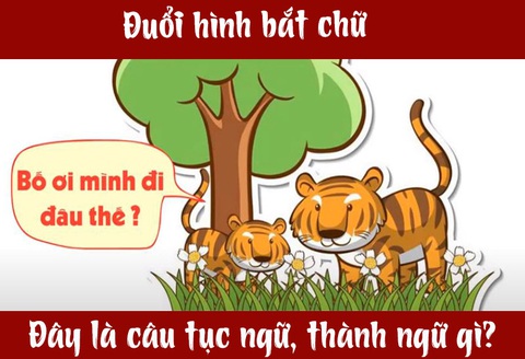 Câu tục ngữ, thành ngữ khó nhằn này là gì? (P12) - Ảnh 4. Câu tục ngữ, thành ngữ khó nhằn này là gì? (P12) - Ảnh 4.
