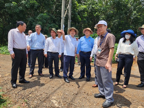 Khu dân cư đô thị Dầu Giây: Yêu cầu làm rõ việc giao đất làm dự án - Ảnh 1. Khu dân cư đô thị Dầu Giây: Yêu cầu làm rõ việc giao đất làm dự án - Ảnh 1.