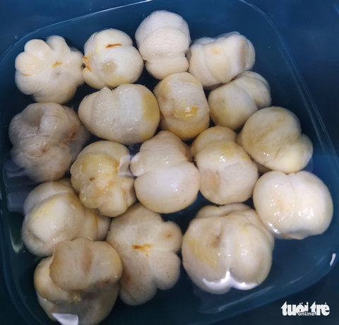 Gỏi gà măng cụt, mùa hè tai ương của gà và những trái măng cụt xanh - Ảnh 4. Gỏi gà măng cụt, mùa hè tai ương của gà và những trái măng cụt xanh - Ảnh 4.