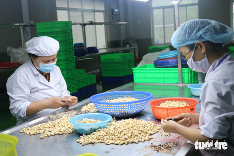 Tin tức sáng 18-5: Giá xe hơi giảm mạnh; TP.HCM tăng xử lý vi phạm thu phí đậu ô tô - Ảnh 1. Tin tức sáng 18-5: Giá xe hơi giảm mạnh; TP.HCM tăng xử lý vi phạm thu phí đậu ô tô - Ảnh 1.