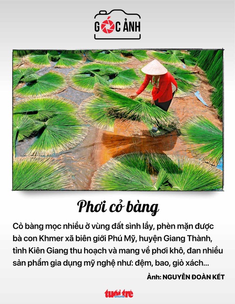 Tin tức sáng 18-5: Giá xe hơi giảm mạnh; TP.HCM tăng xử lý vi phạm thu phí đậu ô tô - Ảnh 9. Tin tức sáng 18-5: Giá xe hơi giảm mạnh; TP.HCM tăng xử lý vi phạm thu phí đậu ô tô - Ảnh 9.