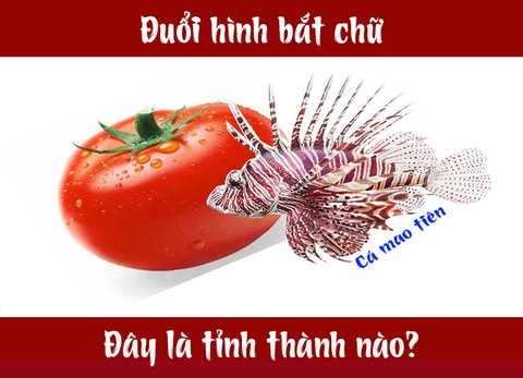 IQ cao có đoán được đây là tỉnh thành nào của Việt Nam? (P10) - Ảnh 1. IQ cao có đoán được đây là tỉnh thành nào của Việt Nam? (P10) - Ảnh 1.