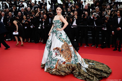 Phạm Băng Băng mang con hổ trong rừng tre lên thảm đỏ Liên hoan phim Cannes - Ảnh 2. Phạm Băng Băng mang con hổ trong rừng tre lên thảm đỏ Liên hoan phim Cannes - Ảnh 2.