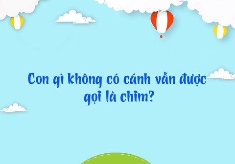 Đố vui: Con gì không có cánh vẫn gọi là chim? - Ảnh 1. Đố vui: Con gì không có cánh vẫn gọi là chim? - Ảnh 1.