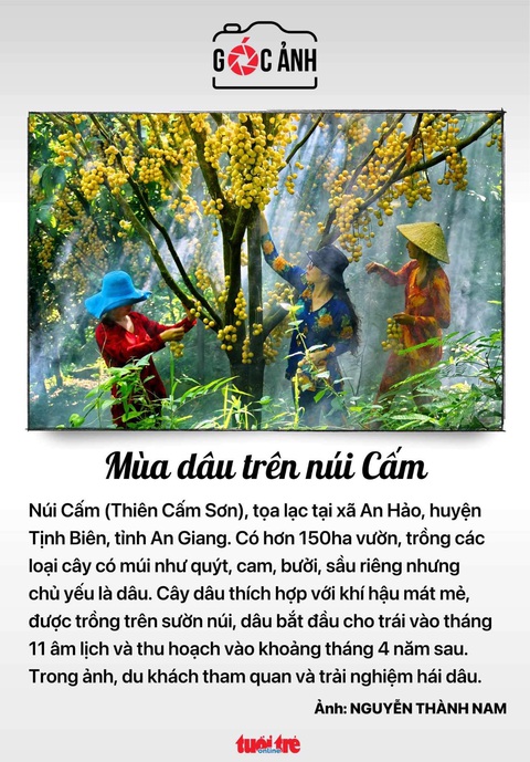 Tin tức sáng 17-5: 9 nhóm được áp dụng lương cơ sở mới 1,8 triệu; Đề nghị giảm dùng điện 5-50% - Ảnh 4. Tin tức sáng 17-5: 9 nhóm được áp dụng lương cơ sở mới 1,8 triệu; Đề nghị giảm dùng điện 5-50% - Ảnh 4.