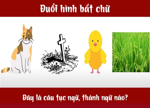 Câu tục ngữ, thành ngữ khó nhằn này là gì? (P14) - Ảnh 4. Câu tục ngữ, thành ngữ khó nhằn này là gì? (P14) - Ảnh 4.