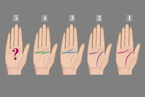 Xem chỉ tay biết ngay tính cách của bạn - Ảnh 1. Xem chỉ tay biết ngay tính cách của bạn - Ảnh 1.
