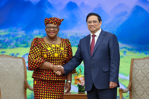 Tổng giám đốc WTO: Thành công của Việt Nam cần được thế giới biết nhiều hơn - Ảnh 1. Tổng giám đốc WTO: Thành công của Việt Nam cần được thế giới biết nhiều hơn - Ảnh 1.