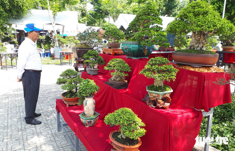 Ngắm hàng ngàn chậu bonsai độc lạ, có chậu cả tỉ đồng - Ảnh 1. Ngắm hàng ngàn chậu bonsai độc lạ, có chậu cả tỉ đồng - Ảnh 1.