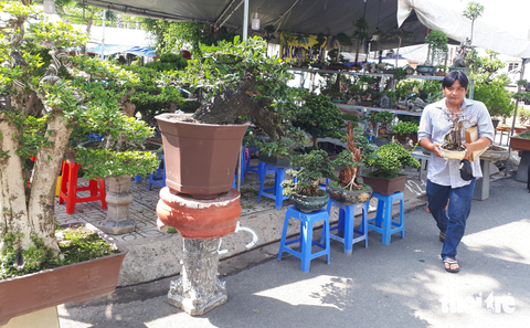 Ngắm hàng ngàn chậu bonsai độc lạ, có chậu cả tỉ đồng - Ảnh 5. Ngắm hàng ngàn chậu bonsai độc lạ, có chậu cả tỉ đồng - Ảnh 5.