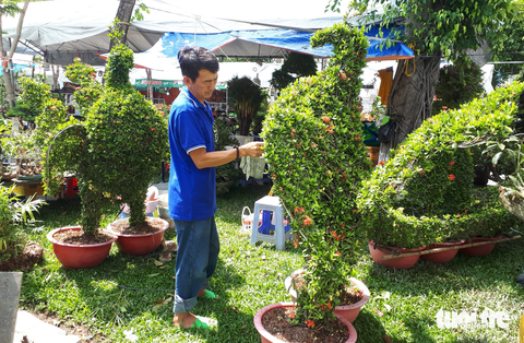 Ngắm hàng ngàn chậu bonsai độc lạ, có chậu cả tỉ đồng - Ảnh 7. Ngắm hàng ngàn chậu bonsai độc lạ, có chậu cả tỉ đồng - Ảnh 7.