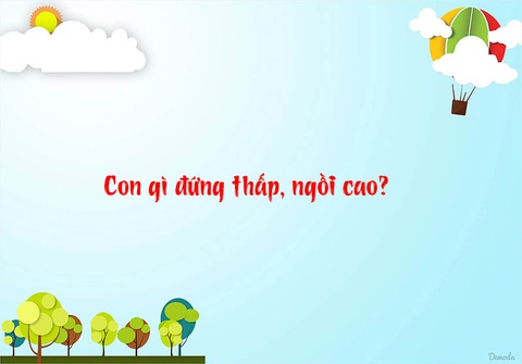 Đố vui: Con gì đứng thấp, ngồi cao? - Ảnh 1. Đố vui: Con gì đứng thấp, ngồi cao? - Ảnh 1.