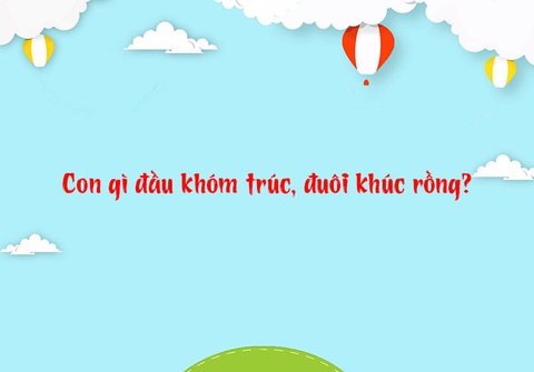 Đố vui: Con gì đứng thấp, ngồi cao? - Ảnh 4. Đố vui: Con gì đứng thấp, ngồi cao? - Ảnh 4.