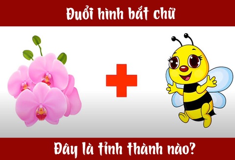 Đuổi hình bắt chữ: Đây là tỉnh thành nào của nước ta? (P18) - Ảnh 4. Đuổi hình bắt chữ: Đây là tỉnh thành nào của nước ta? (P18) - Ảnh 4.