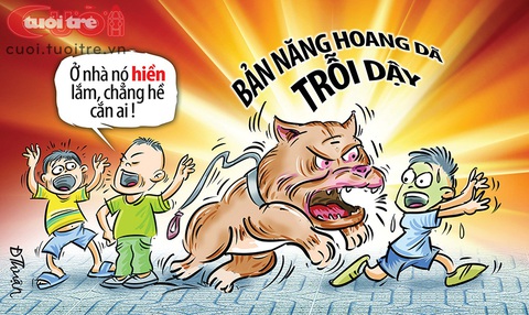 Cấm nuôi chó pitbull? - Ảnh 3. Cấm nuôi chó pitbull? - Ảnh 3.