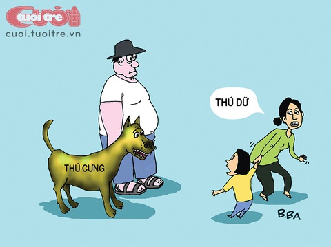 Cấm nuôi chó pitbull? - Ảnh 1. Cấm nuôi chó pitbull? - Ảnh 1.