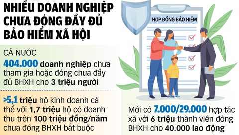 Sẽ thêm nhiều nhóm lao động đóng bảo hiểm xã hội bắt buộc - Ảnh 2. Nguồn: Bộ Lao động - Thương binh và Xã hội (số liệu tính đến năm 2022) - Đồ họa: TUẤN ANH
