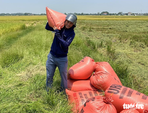 Những chuyến xe miễn phí chở lúa từ ruộng về nhà dân giữa ngày nóng đổ lửa - Ảnh 2. Những chuyến xe miễn phí chở lúa từ ruộng về nhà dân giữa ngày nóng đổ lửa - Ảnh 2.