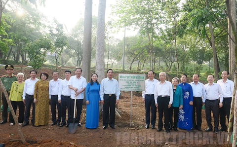 Đoàn đại biểu TP.HCM dâng hương tưởng niệm Chủ tịch Hồ Chí Minh và Chủ tịch Tôn Đức Thắng - Ảnh 3. Đoàn đại biểu TP.HCM dâng hương tưởng niệm Chủ tịch Hồ Chí Minh và Chủ tịch Tôn Đức Thắng - Ảnh 3.