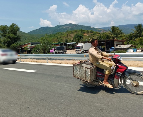 Chính thức thông xe cao tốc Nha Trang - Cam Lâm, vẫn còn xe máy chạy ngược chiều trên cao tốc - Ảnh 4. Người dân không đội mũ bảo hiểm, vô tư đi ngược chiều trên cao tốc - Ảnh: MINH CHIẾN