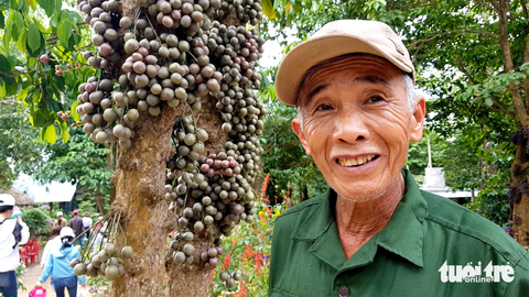 Hàng trăm khách đổ về vườn đỏ như những chùm nho khổng lồ ở Phú Yên - Ảnh 5. Hàng trăm khách đổ về vườn đỏ như những chùm nho khổng lồ ở Phú Yên - Ảnh 5.