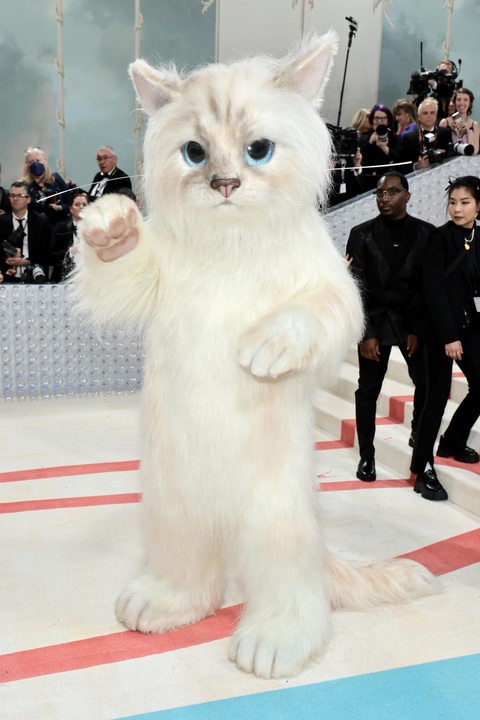 Met Gala 2023: Jared Leto, Doja Cat... hóa mèo trên thảm đỏ - Ảnh 5. Met Gala 2023: Jared Leto, Doja Cat... hóa mèo trên thảm đỏ - Ảnh 5.